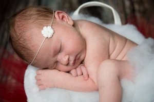 Newborns 0074