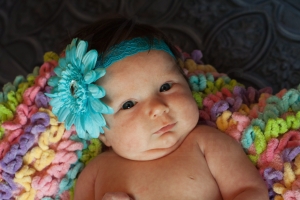 Newborns 016